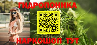СК Ярославль