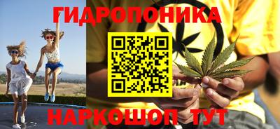 СК Ярославль